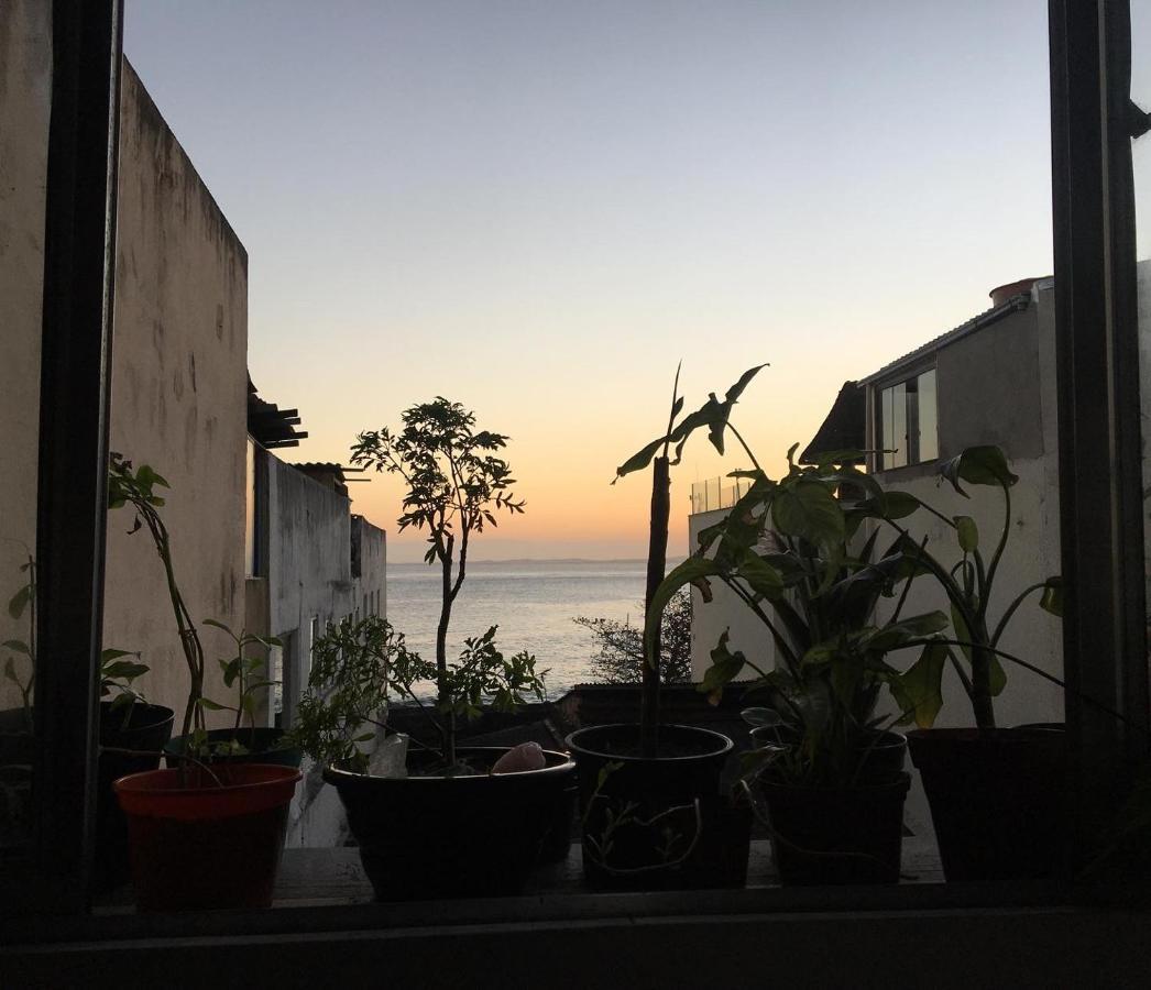 Casamarelo Hostel Salvador da Bahia Dış mekan fotoğraf